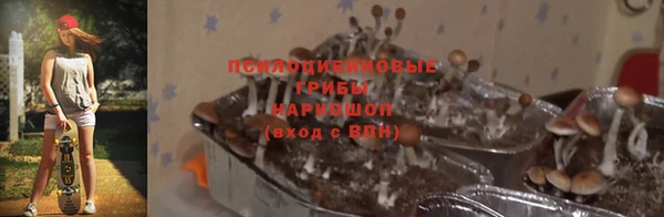 каннабис Баксан