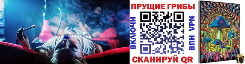 закладки  Тотьма  Псилоцибиновые грибы прущие грибы 